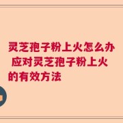 灵芝孢子粉上火怎么办 应对灵芝孢子粉上火的有效方法
