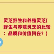 灵芝野生和养殖灵芝(野生与养殖灵芝的比较：品质和价值何在？)