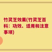 竹灵芝效果(竹灵芝百科：功效、适用和注意事项)