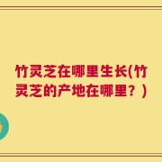 竹灵芝在哪里生长(竹灵芝的产地在哪里？)