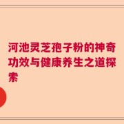 河池灵芝孢子粉的神奇功效与健康养生之道探索