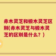 赤木灵芝和椴木灵芝区别(赤木灵芝与椴木灵芝的区别是什么？)