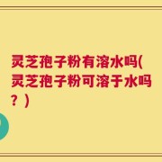 灵芝孢子粉有溶水吗(灵芝孢子粉可溶于水吗？)