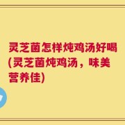 灵芝菌怎样炖鸡汤好喝(灵芝菌炖鸡汤，味美营养佳)