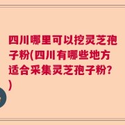 四川哪里可以挖灵芝孢子粉(四川有哪些地方适合采集灵芝孢子粉？)