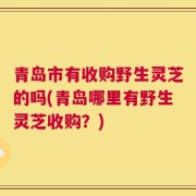 青岛市有收购野生灵芝的吗(青岛哪里有野生灵芝收购？)