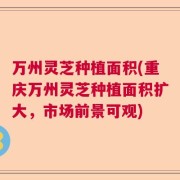 万州灵芝种植面积(重庆万州灵芝种植面积扩大，市场前景可观)