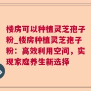 楼房可以种植灵芝孢子粉_楼房种植灵芝孢子粉：高效利用空间，实现家庭养生新选择