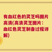 有血红色的灵芝吗图片高清(高清灵芝图片：血红色灵芝制备过程详解)