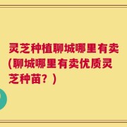 灵芝种植聊城哪里有卖(聊城哪里有卖优质灵芝种苗？)
