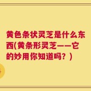 黄色条状灵芝是什么东西(黄条形灵芝——它的妙用你知道吗？)