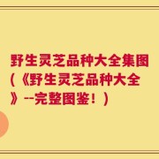 野生灵芝品种大全集图(《野生灵芝品种大全》--完整图鉴！)