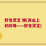 野生灵芝 棉(高山上的珍珠——野生灵芝)