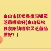 白山市抚松县泉阳镇灵芝菌哪家好(白山抚松县泉阳镇哪家灵芝菌品质好？)
