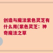 创造与魔法紫色灵芝有什么用(紫色灵芝：神奇魔法之草