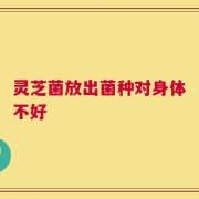 灵芝菌放出菌种对身体不好