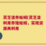 灵芝渣养蚯蚓(灵芝渣利用养殖蚯蚓，实现资源再利用