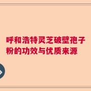 呼和浩特灵芝破壁孢子粉的功效与优质来源