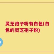 灵芝孢子粉有白色(白色的灵芝孢子粉)