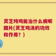 灵芝炖鸡能治什么病呢图片(灵芝鸡汤的功效和作用？)