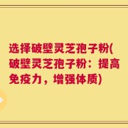 选择破壁灵芝孢子粉(破壁灵芝孢子粉：提高免疫力，增强体质)