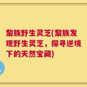 黎族野生灵芝(黎族发现野生灵芝，探寻逆境下的天然宝藏)