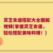 灵芝食谱搭配大全图解视频(掌握灵芝食谱，轻松搭配美味料理！)