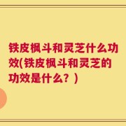 铁皮枫斗和灵芝什么功效(铁皮枫斗和灵芝的功效是什么？)