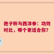 孢子粉与西洋参：功效对比，哪个更适合你？