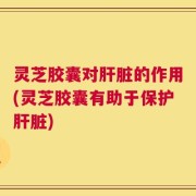 灵芝胶囊对肝脏的作用(灵芝胶囊有助于保护肝脏)