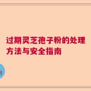 过期灵芝孢子粉的处理方法与安全指南