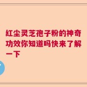 红尘灵芝孢子粉的神奇功效你知道吗快来了解一下