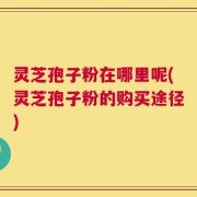 灵芝孢子粉在哪里呢(灵芝孢子粉的购买途径)
