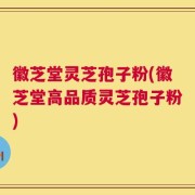 徽芝堂灵芝孢子粉(徽芝堂高品质灵芝孢子粉)