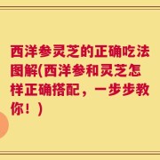 西洋参灵芝的正确吃法图解(西洋参和灵芝怎样正确搭配，一步步教你！)
