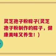 灵芝孢子粉粽子(灵芝孢子粉制作的粽子，健康美味又养生！)