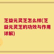 芝益元灵芝怎么样(芝益元灵芝的功效与作用详解)