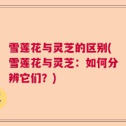 雪莲花与灵芝的区别(雪莲花与灵芝:如何分辨它们?)