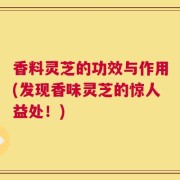 香料灵芝的功效与作用(发现香味灵芝的惊人益处！)