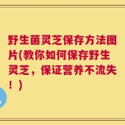 野生菌灵芝保存方法图片(教你如何保存野生灵芝，保证营养不流失！)