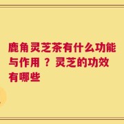 鹿角灵芝茶有什么功能与作用 ？灵芝的功效有哪些