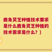 鹿角灵芝种植技术要求是什么鹿角灵芝种植的技术需求是什么？)
