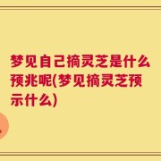 梦见自己摘灵芝是什么预兆呢(梦见摘灵芝预示什么)