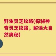 野生灵芝纹路(探秘神奇灵芝纹路，解读大自然奥秘)