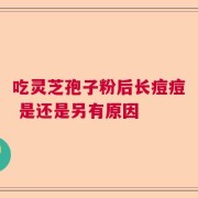 吃灵芝孢子粉后长痘痘 是还是另有原因