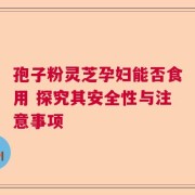 孢子粉灵芝孕妇能否食用 探究其安全性与注意事项