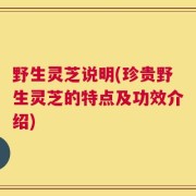 野生灵芝说明(珍贵野生灵芝的特点及功效介绍)