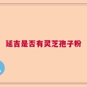 延吉是否有灵芝孢子粉