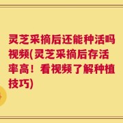 灵芝采摘后还能种活吗视频(灵芝采摘后存活率高！看视频了解种植技巧)