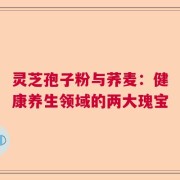 灵芝孢子粉与荞麦：健康养生领域的两大瑰宝